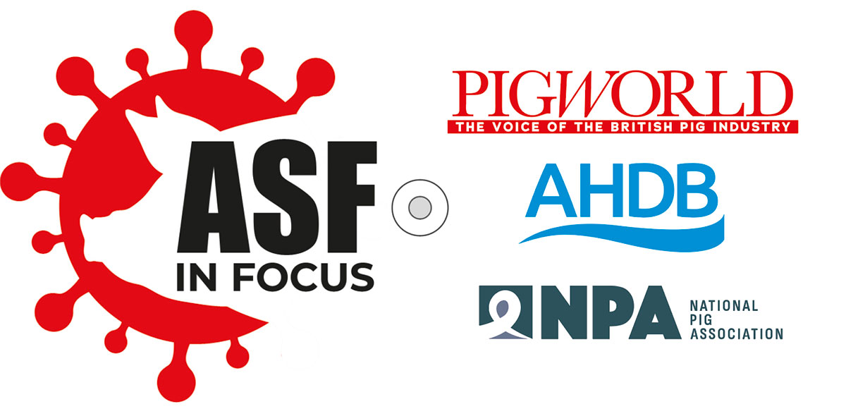 ASF outbreaks in Estonia and Latvia result in 50,000 pigs being culled ...